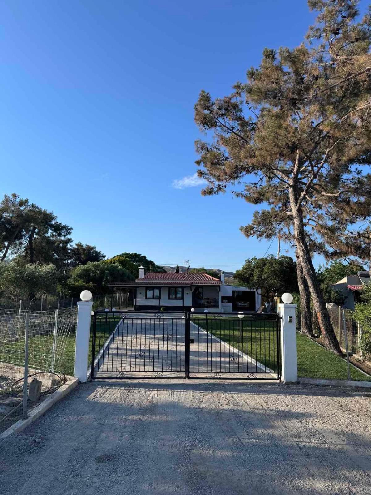 Nemo's House * Mesimvria (Evros)